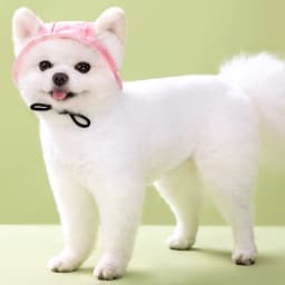 Cute French Bulldog Pet Hats with Ear Holes Adjustable Puppy Dog Cap Hat for Small Medium Dogs Pug Mascotas Accessories Costume
