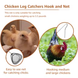 4Pcs Poultry Catcher Tools Stainless Steel Telescopic Chicken Grabber Pole & Small Chicken Catching Net Outdoor Bird Catcher