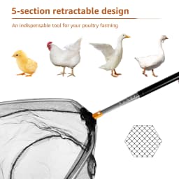 4Pcs Poultry Catcher Tools Stainless Steel Telescopic Chicken Grabber Pole & Small Chicken Catching Net Outdoor Bird Catcher