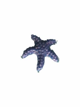 10pcs Aquarium Artificial Starfish Pink Emulational Coral Fish Tank Polyresin Starfish Decoration Sea Star Shape Ornament