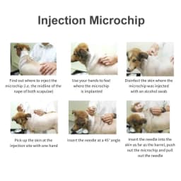 100pcs Pet Id Tags Injectable Microchip 2.12*12mm Rfid Syringe Glass Chip Injector Pet Dog Suppliers