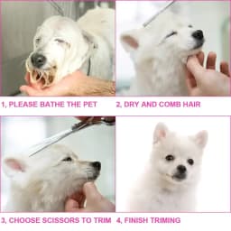 Safe and Precise Professional Pet Grooming Scissors with Round Head - Stainless Steel Dog Hair Shears for Effortless Trimming