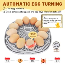 Household Small Chicken, Duck, Goose Egg Incubator Automatically Add Water Intelligent Temperature Control 12 Incubators