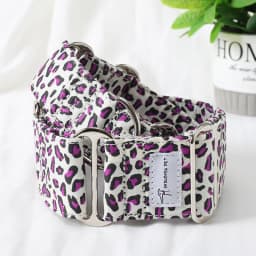 Italian Greyhound Whippet Martingale wide adjustable dog collar patterned cotton collar