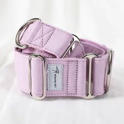 Italian Greyhound Whippet Martingale wide adjustable dog collar patterned cotton collar