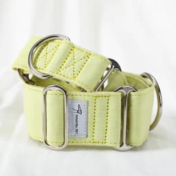 Italian Greyhound Whippet Martingale wide adjustable dog collar patterned cotton collar