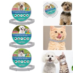 Flea Collar 8 Months Protection Pet Anti Flea Tick Neck Collar Natural Flea and Tick Prevention Collar for Dogs and Cats