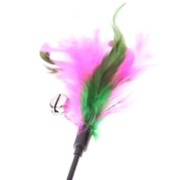 5pcs/set Interactive Funny Cat Stick Colorful Feather Cat Game Wand Exquisite Portable Creative Fashion Novelty Pet Cat Supplies