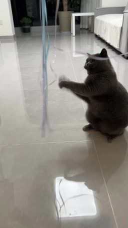 Interactive Cats Toys Long Satin Ribbon Cat Teaser Rod Toy Kitten Playing Teaser Wand Toy Cat Stick Toy
