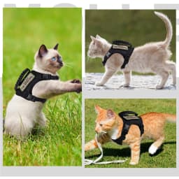 600D Cat Tactical Vest Pet Chest Strap Vest Type Puppy Cat Training Clothing Small Dog Vest