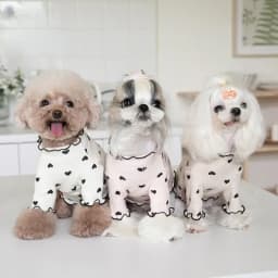 Autumn and Winter Pet Undercoat Clothes Embroidered Bear Waffle Home Vest Dog Cat Yorkshire Schnauzer Maltese New Year Christmas