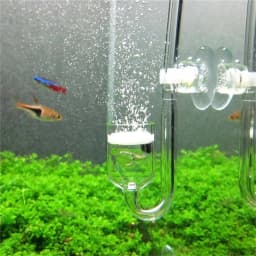 4 In 1 Aquarium CO2 Diffuser Set Carbon Dioxide Atomizer Check Valve U Shaped Connector Suction Cup For Fish Tank Planted Supply