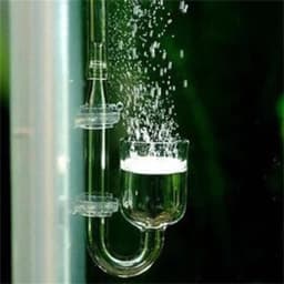 4 In 1 Aquarium CO2 Diffuser Set Carbon Dioxide Atomizer Check Valve U Shaped Connector Suction Cup For Fish Tank Planted Supply