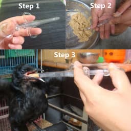 Pet Bird Parrot Baby Feeding Syringe Young Bird Drug Syringe Thick/Thin Tube Nutrient Solution Injection Pet Bird Supplies Tools