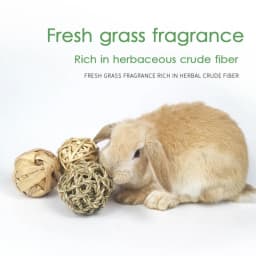 5PCS Rabbit Ball Toys Bunny Treats Toys For Teething Small Animal Chew Toys Grass Ball For Dwarf Hamster Rabbits Guinea Pigs Ger
