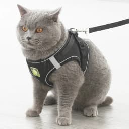 Comfortable Breathable Mesh Step in Reflective Vest Harness for Small Medium Dogs