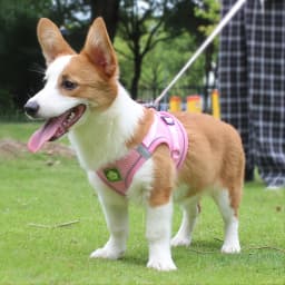 Comfortable Breathable Mesh Step in Reflective Vest Harness for Small Medium Dogs