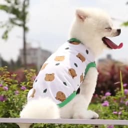 Pet Dog Clothes Puppy Summer Vest Thin Pomeranian Jumper Bear Print T-shirt Teddy Cartoon Clothing Dog Products XS-XL