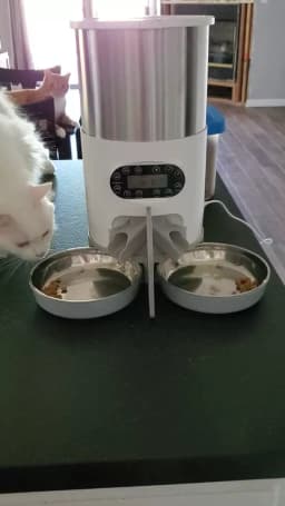Tuya Smart APP Pet Feeder Cat Dog Food Dispenser Suitable For Small And Medium-Sized Cats And Dogs Mobile Phone Remote Feeding