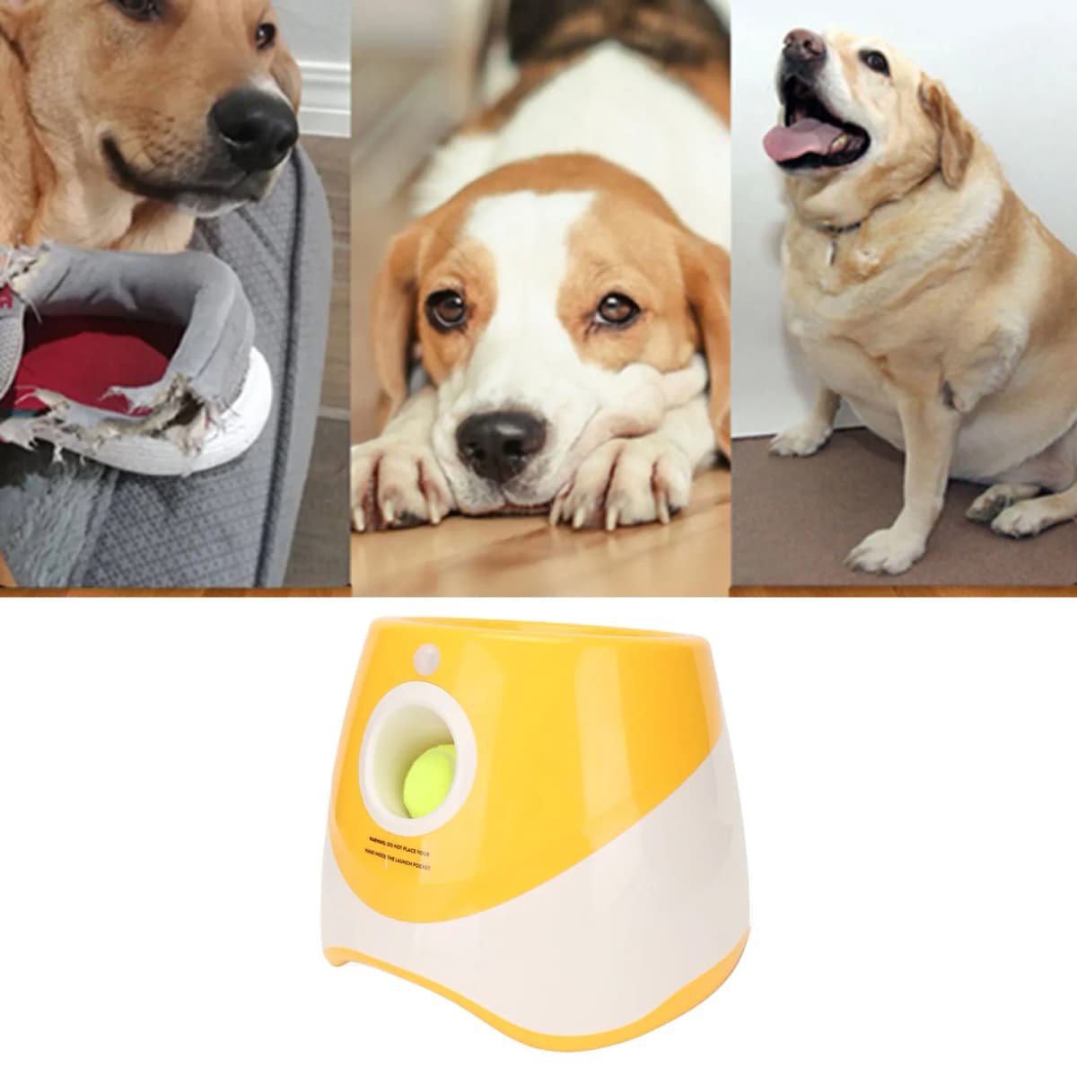 Dog Automatic Ball Launcher Dog Automatic Ball Launcher Interactive Pet Ball Thrower Throwing Game for Outdoor Indoor