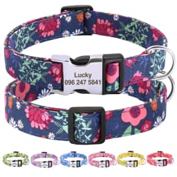 Personalized Dog Collar Adjustable Nylon Pet Buckle Collars Free Engraving Anti-lost Dog Necklace For Small Medium Large Dogs