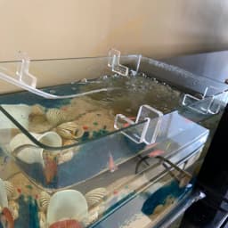 4pcs/set Mini Acrylic Fish Tank Glass Cover Holder Aquarium Bracket Support Frame Aquarium Accessories 4/5/6/8/10/12/15/19/25mm