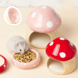 2023 Cute Ceramic Mushroom House Pet Items Hamster Cage Small Pet Bowl For Rabbit Ferret Rat Chinchilla Hedgehog Pet Products