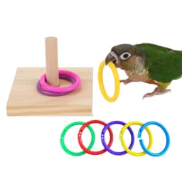 Wooden Bird Toy Parrot Platform Plastic Ring Intelligence Development Parrot Training Toy Bird Chew Bird Toy Puzzle Pet Supplies