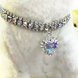 Pet Necklace Love Water Drop Water Diamond Cat Collar Dog Neck Jewelry Exquisite Cute Cat Gem Alloy Puppy Kitten Pet Supplies