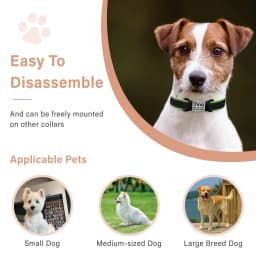 Nameplate Engraved Id Tag Dog Cat Collar Stainless Personalized Silicone Customize Anti-lost Accessory