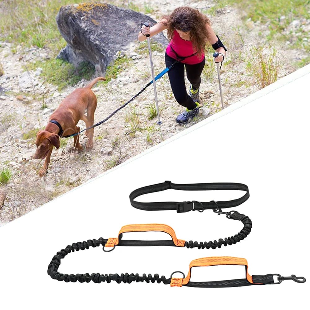 Double Elastic Reflective Running Leash Portable Retractable Dog Leash Dog Chain Leash Pet Supplies Wholesale