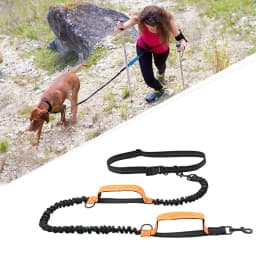 Double Elastic Reflective Running Leash Portable Retractable Dog Leash Dog Chain Leash Pet Supplies Wholesale