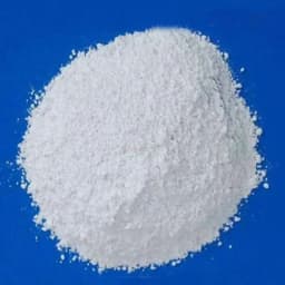 40g Ant Farm Anti-escape Powder for Ant Nest Pet Anthill Ant Kennel Workshop Anti-escap Gypsum Powder Tool Ant House Accessories