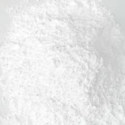 40g Ant Farm Anti-escape Powder for Ant Nest Pet Anthill Ant Kennel Workshop Anti-escap Gypsum Powder Tool Ant House Accessories