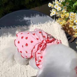 Strawberry Print Pet Dog Dress 2026 Dog Clothes Cute Bow Summer Puppy Costume Chihuahua French Bulldog Clothing Cat Dog Swimsuit