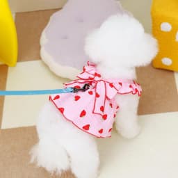 Strawberry Print Pet Dog Dress 2026 Dog Clothes Cute Bow Summer Puppy Costume Chihuahua French Bulldog Clothing Cat Dog Swimsuit