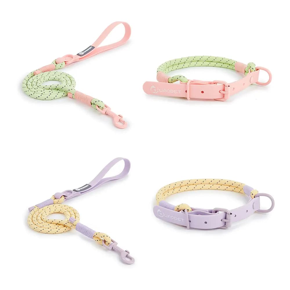 Pet Supplies Dog Collar For Small and Medium Dog Walking Sugar Color Series Cute Style PVC Webbing Collar Leashes Set New Arriva