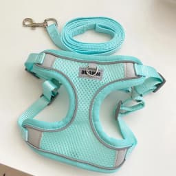 Mesh Breathable Pet Harness for Small Medium Dogs Outdoor Puppy Dog Harnesses and Leash for Walking Pomeranian Mascotas Supplies