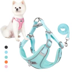 Mesh Breathable Pet Harness for Small Medium Dogs Outdoor Puppy Dog Harnesses and Leash for Walking Pomeranian Mascotas Supplies