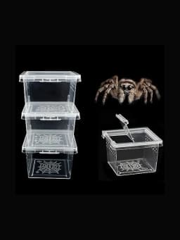 5 Pcs Insect Reptile Spider Hatching Container Frog Breeding Box Suitable For Scorpion Centipede Horned Frog Larvae Breeding Box