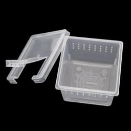 5 Pcs Insect Reptile Spider Hatching Container Frog Breeding Box Suitable For Scorpion Centipede Horned Frog Larvae Breeding Box