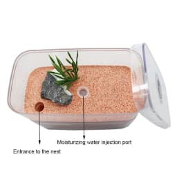 Highly Moisturizing Ant Farm Plaster Ant Nest Insect Box with Workshop Pet Anthill Castle Natural Ecological Ant House 12*6*10cm