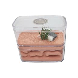Highly Moisturizing Ant Farm Plaster Ant Nest Insect Box with Workshop Pet Anthill Castle Natural Ecological Ant House 12*6*10cm