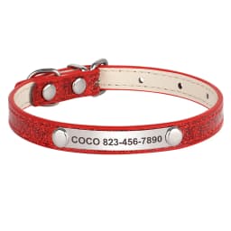Personalized Cat ID Collar Anti-lost Puppy Cats Name Collars Custom Pet ID Name Tag Collars For Small Dogs Cats Bell Accessories