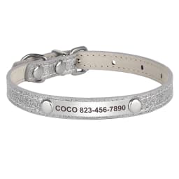 Personalized Cat ID Collar Anti-lost Puppy Cats Name Collars Custom Pet ID Name Tag Collars For Small Dogs Cats Bell Accessories