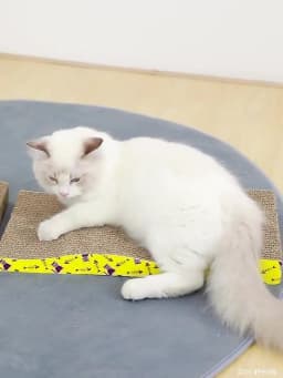 Cat Toys Pet Cat Scratching Board Corrugated Cardboard Pad Grinding Nails Interactive Protecting Furniture Cats Scratcher Toy