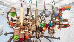 Bird Toys Colorful Hanging Chew Parrot Toys Parakeet Puzzle Training Relief Bite String Cage Decorative Bird Accessories