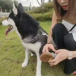 4pcs/set Pet Dog Shoes Reflective Waterproof Dog Boots Warm Snow Rain Pets Booties Anti-slip Socks Footwear For Medium Large Dog