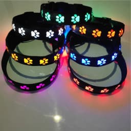 LED Luminous Dog Collar with Paw Safety Lights Anti-Lost Light Warning Pet Tag for Dog Walking Puppy Accessories Anti-Car Accide