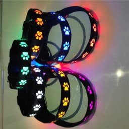 LED Luminous Dog Collar with Paw Safety Lights Anti-Lost Light Warning Pet Tag for Dog Walking Puppy Accessories Anti-Car Accide